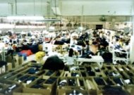 Image / illustration